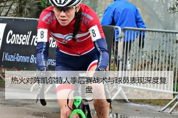 热火对阵凯尔特人季后赛战术与球员表现深度复盘