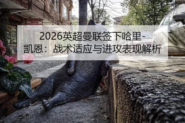 ying-chao-man-lian-qian-xia-ha-li-kai-en-zhan-shu-shi-ying-yu-jin-gong-biao-xian-jie-xi-2-570.jpg